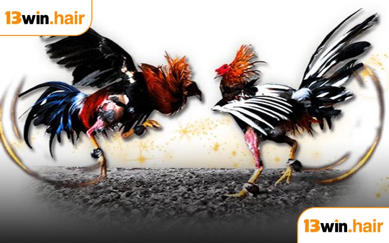 Top những thể loại được ưa chuộng nhất tại 13WIN hiện nay